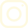 Icon In